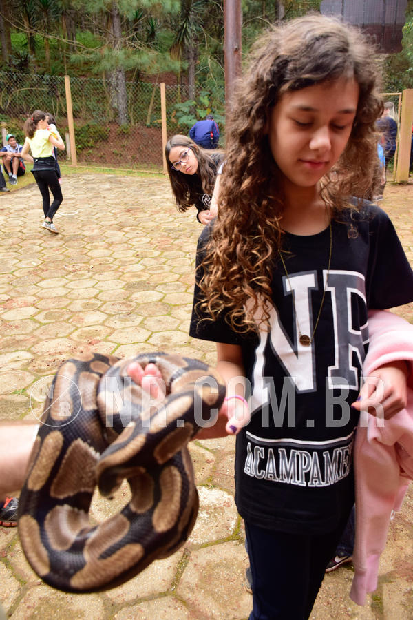 Buy your photos of the eventNR1 - Cl�ssico de 03 a 05/08/18 on Fotop