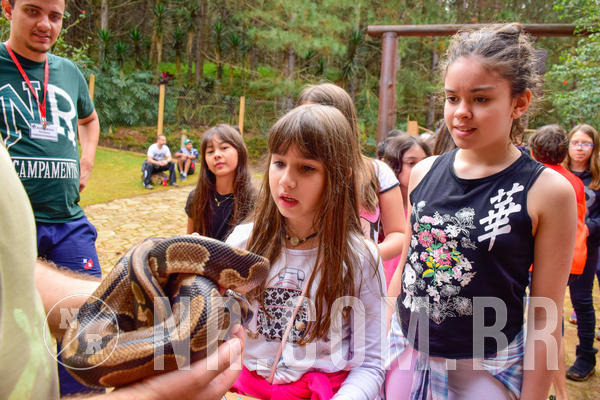 Buy your photos of the eventNR1 - Cl�ssico de 03 a 05/08/18 on Fotop