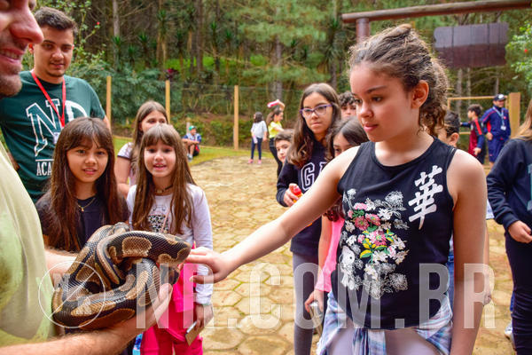 Buy your photos of the eventNR1 - Cl�ssico de 03 a 05/08/18 on Fotop