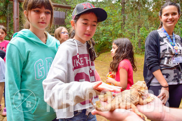 Buy your photos of the eventNR1 - Cl�ssico de 03 a 05/08/18 on Fotop