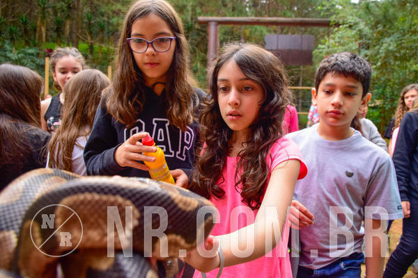 Buy your photos of the eventNR1 - Cl�ssico de 03 a 05/08/18 on Fotop