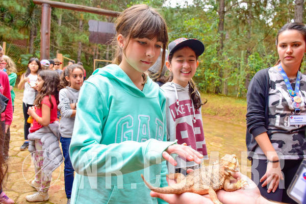 Buy your photos of the eventNR1 - Cl�ssico de 03 a 05/08/18 on Fotop