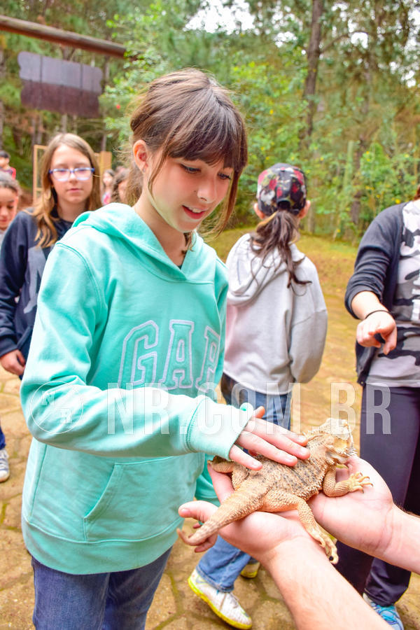 Buy your photos of the eventNR1 - Cl�ssico de 03 a 05/08/18 on Fotop