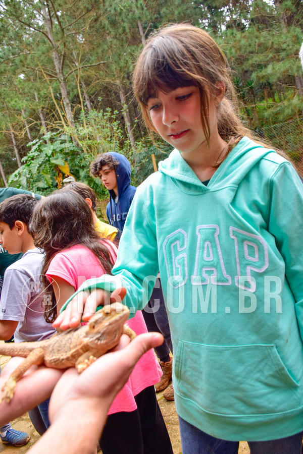 Buy your photos of the eventNR1 - Cl�ssico de 03 a 05/08/18 on Fotop