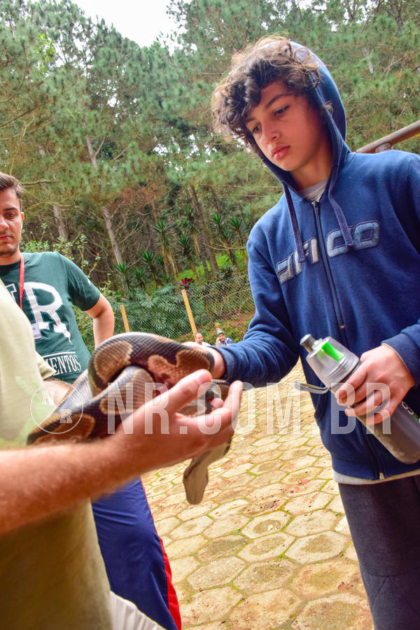 Buy your photos of the eventNR1 - Cl�ssico de 03 a 05/08/18 on Fotop