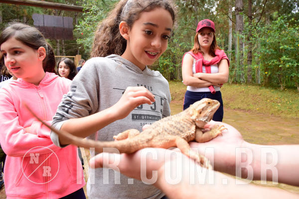 Buy your photos of the eventNR1 - Cl�ssico de 03 a 05/08/18 on Fotop