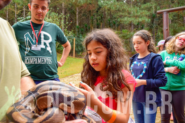 Buy your photos of the eventNR1 - Cl�ssico de 03 a 05/08/18 on Fotop