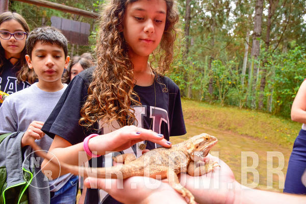 Buy your photos of the eventNR1 - Cl�ssico de 03 a 05/08/18 on Fotop