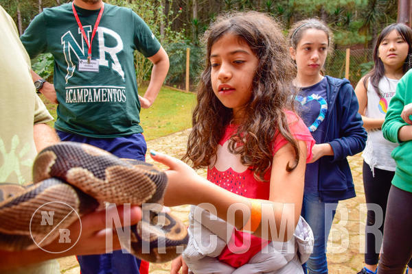 Buy your photos of the eventNR1 - Cl�ssico de 03 a 05/08/18 on Fotop