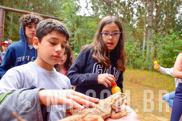 Buy your photos of the eventNR1 - Cl�ssico de 03 a 05/08/18 on Fotop