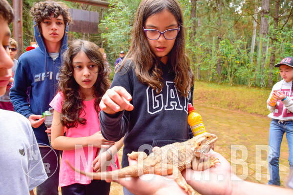 Buy your photos of the eventNR1 - Cl�ssico de 03 a 05/08/18 on Fotop