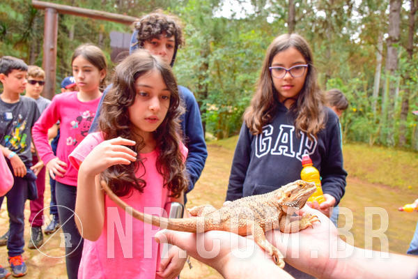 Buy your photos of the eventNR1 - Cl�ssico de 03 a 05/08/18 on Fotop