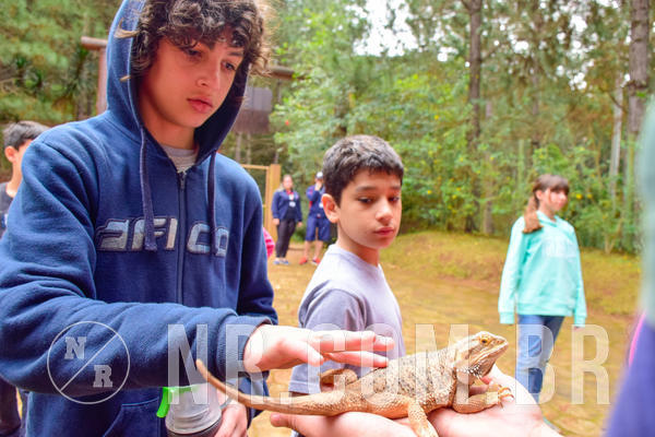 Buy your photos of the eventNR1 - Cl�ssico de 03 a 05/08/18 on Fotop