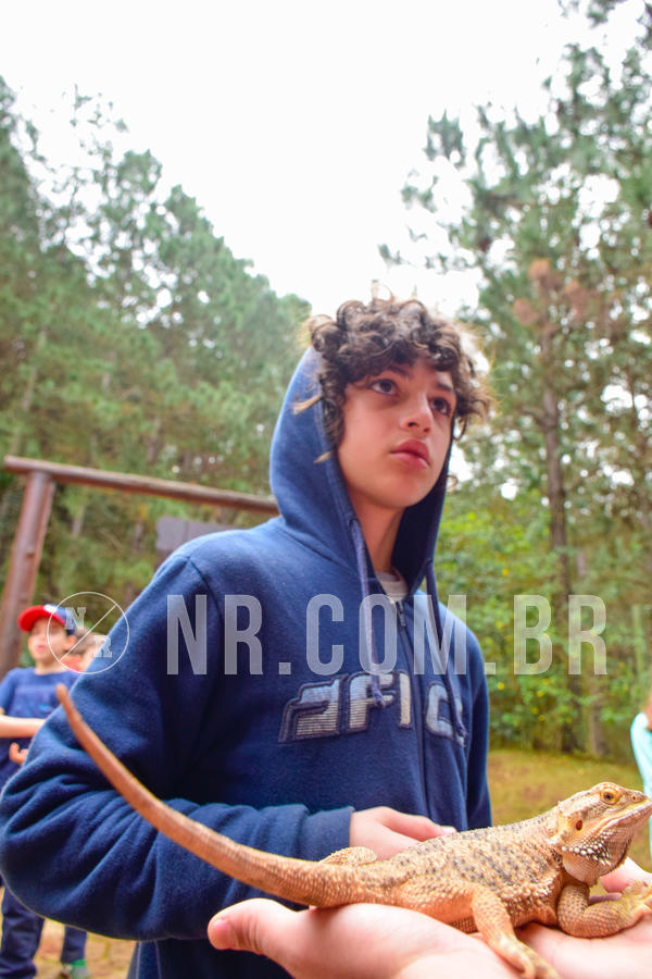 Buy your photos of the eventNR1 - Cl�ssico de 03 a 05/08/18 on Fotop