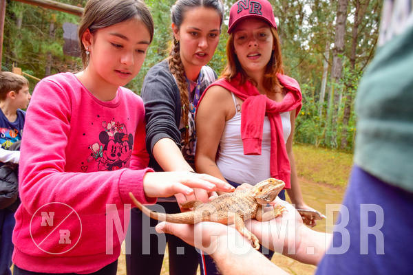 Buy your photos of the eventNR1 - Cl�ssico de 03 a 05/08/18 on Fotop