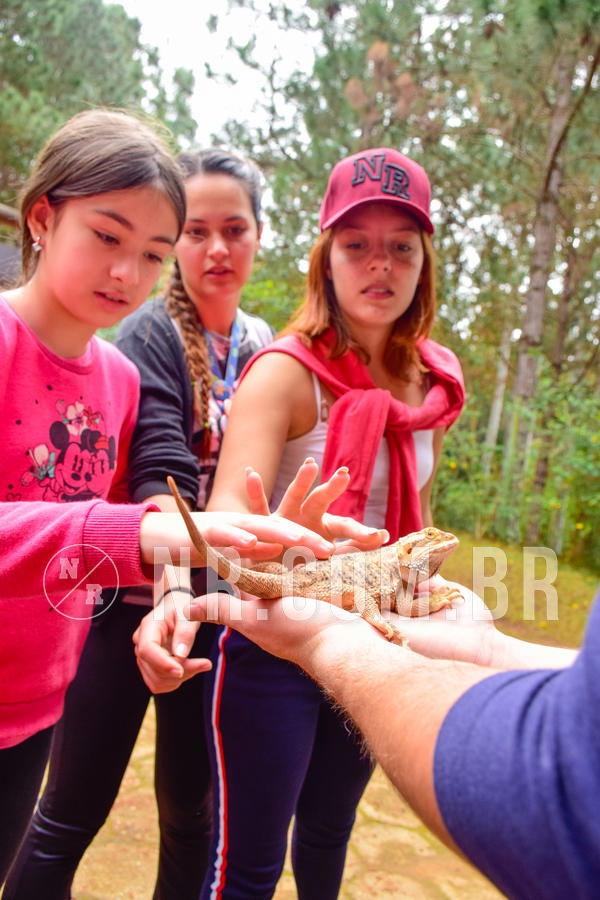 Buy your photos of the eventNR1 - Cl�ssico de 03 a 05/08/18 on Fotop