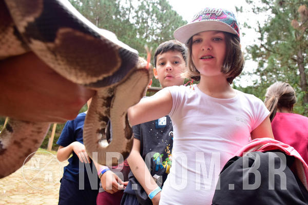 Buy your photos of the eventNR1 - Cl�ssico de 03 a 05/08/18 on Fotop