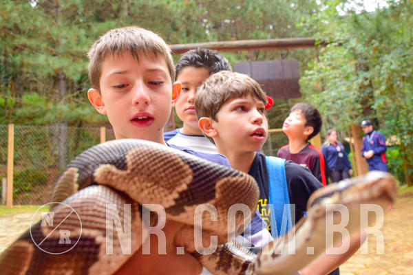 Buy your photos of the eventNR1 - Cl�ssico de 03 a 05/08/18 on Fotop