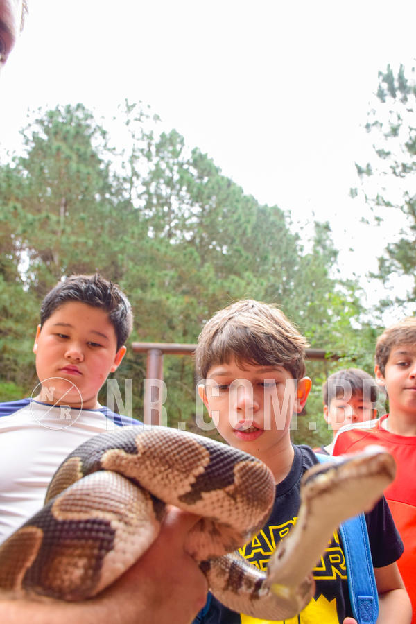 Buy your photos of the eventNR1 - Cl�ssico de 03 a 05/08/18 on Fotop