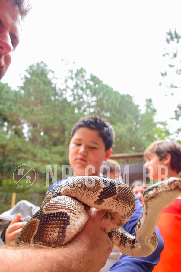 Buy your photos of the eventNR1 - Cl�ssico de 03 a 05/08/18 on Fotop