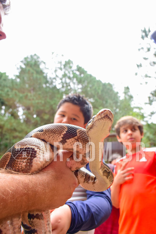 Buy your photos of the eventNR1 - Cl�ssico de 03 a 05/08/18 on Fotop