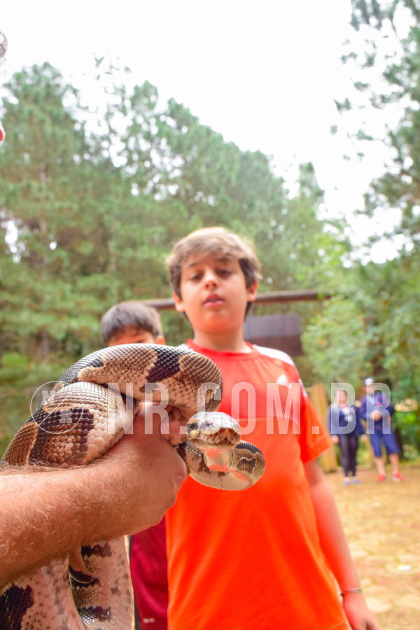 Buy your photos of the eventNR1 - Cl�ssico de 03 a 05/08/18 on Fotop