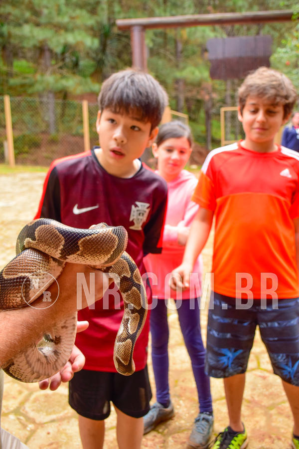 Buy your photos of the eventNR1 - Cl�ssico de 03 a 05/08/18 on Fotop