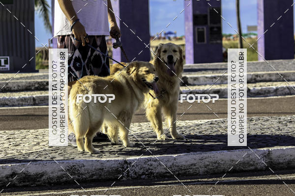 Buy your photos of the eventCircuito Qualidade Caixa - Etapa Aracaju on Fotop