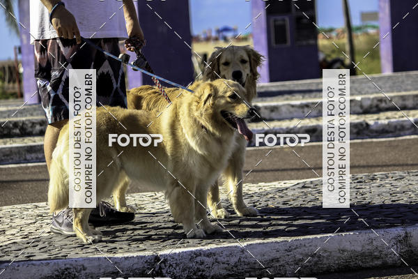 Buy your photos of the eventCircuito Qualidade Caixa - Etapa Aracaju on Fotop