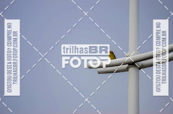 Buy your photos of the eventAudax Floripa  1000km on Fotop