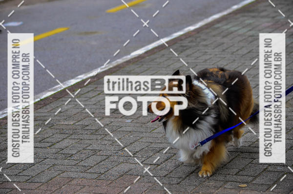 Buy your photos of the eventAudax Floripa  1000km on Fotop