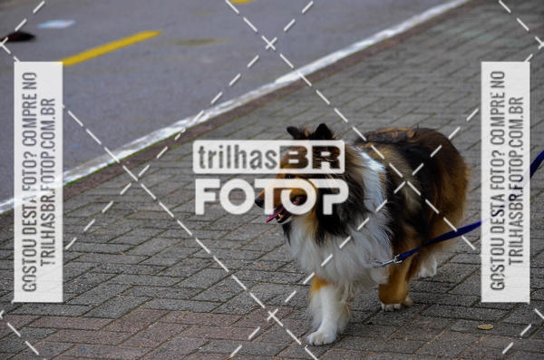 Buy your photos of the eventAudax Floripa  1000km on Fotop