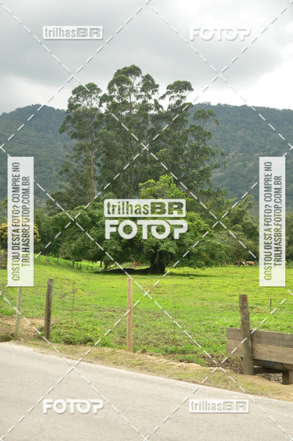 Buy your photos of the eventAudax Floripa  1000km on Fotop