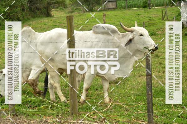 Buy your photos of the eventAudax Floripa  1000km on Fotop