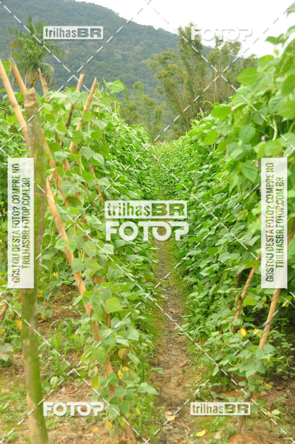 Buy your photos of the eventAudax Floripa  1000km on Fotop