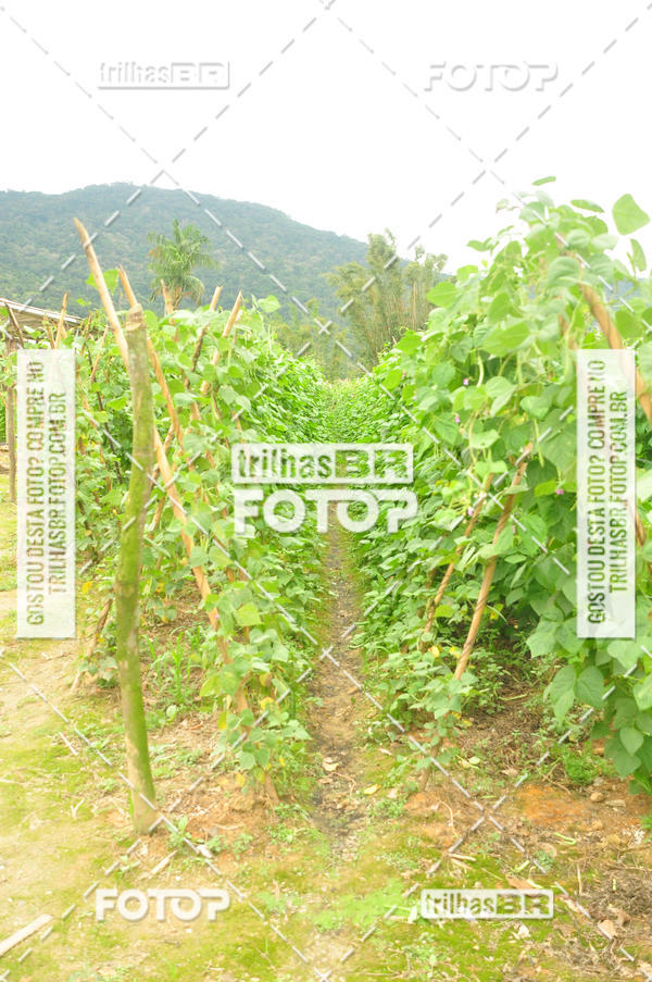 Buy your photos of the eventAudax Floripa  1000km on Fotop