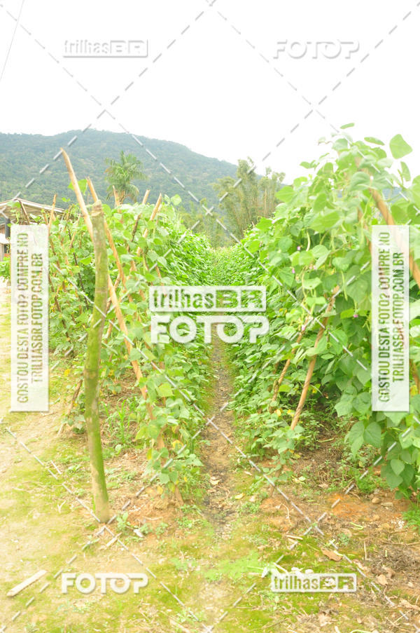 Buy your photos of the eventAudax Floripa  1000km on Fotop