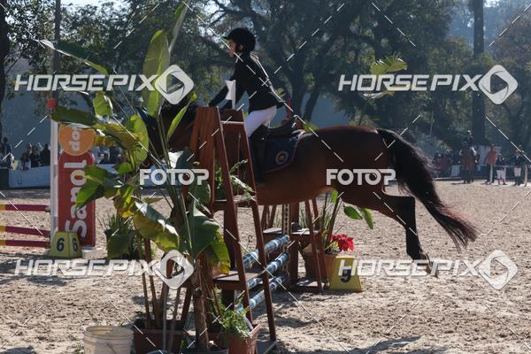 Buy your photos of the eventCBS DE ESCOLAS on Fotop