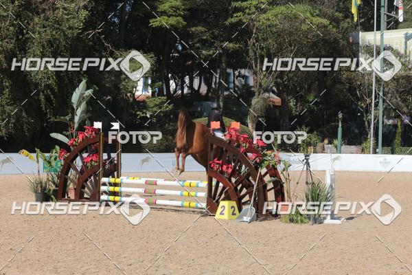 Buy your photos of the eventCBS DE ESCOLAS on Fotop