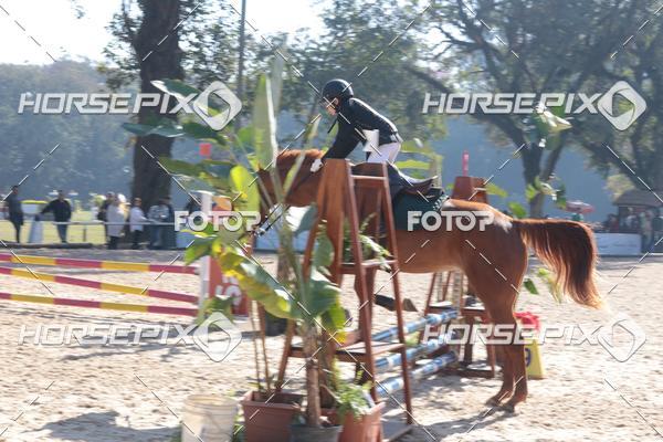 Buy your photos of the eventCBS DE ESCOLAS on Fotop