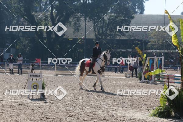 Buy your photos of the eventCBS DE ESCOLAS on Fotop