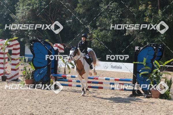 Buy your photos of the eventCBS DE ESCOLAS on Fotop