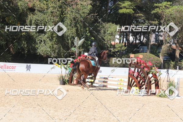 Buy your photos of the eventCBS DE ESCOLAS on Fotop