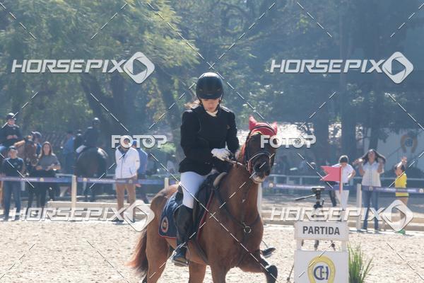 Buy your photos of the eventCBS DE ESCOLAS on Fotop