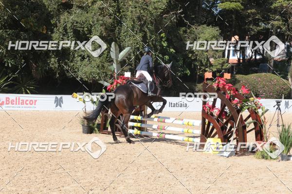 Buy your photos of the eventCBS DE ESCOLAS on Fotop