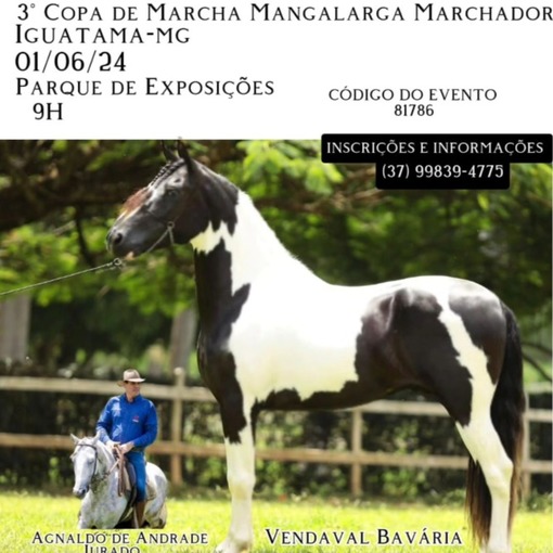 Event cover 3 Copa de Marcha Manga Larga Machador Iguatama
