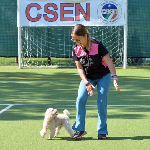 Event cover TEST PRO-DOG DANCE