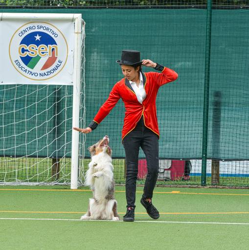 Event cover DOG DANCE 
