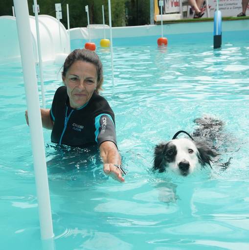 Event cover SWIM DOG 