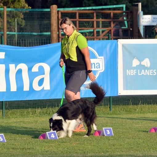 Event cover NOSEWORK